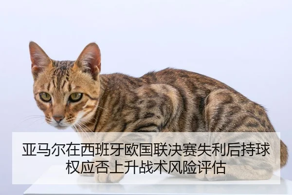 ya-ma-er-zai-xi-ban-ya-ou-guo-lian-jue-sai-shi-li-hou-chi-qiu-quan-ying-fou-shang-sheng-zhan-shu-feng-xian-ping-gu-1-819.jpg